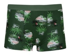Bokserki Obcisłe, Zielone z Flamingiem Bawełniane, Majtki z Elastanem -ALTIES. Zielone bokserki Alties, m, bez wzorów, z bawełny. Za 35.00 zł.