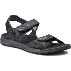 Sandały COLUMBIA - Wayfinder 2 Strap BM1032 Black/Graphite 010. Sandały marki Columbia. Za 249.99 zł.