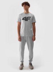 4F Spodnie dresowe joggery męskie - szare XL. Szare joggery i bojówki 4F, na co dzień, l, bez wzorów, z bawełny, sportowe. W wyprzedaży za 79.99 zł.