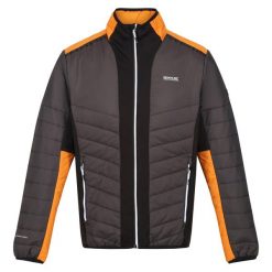 Męska Kurtka Halton VII Contrast Panel Baffled Padded Jacket. Brązowe kurtki Regatta, m, bez wzorów, z puchu, bez kaptura. Za 161.99 zł.