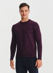 PAKO LORENTE – Fioletowy sweter męski. Fioletowe swetry nierozpinane Pako Lorente, na jesień, m, bez wzorów, z nylonu, bez kołnierzyka, bez ramiączek. Za 119.99 zł.