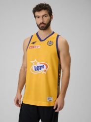 4F Koszulka meczowa replika domowa z sezonu 2025/26 męska 4F x Arka Gdynia - żółta XL. Żółte bezrękawniki 4F, m, bez wzorów, z materiału, bez kołnierzyka, bez ramiączek. Za 219.99 zł.