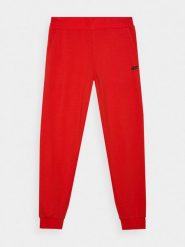 4F Spodnie dresowe joggery męskie - czerwone XL. Czerwone joggery i bojówki 4F, na co dzień, l, bez wzorów, z bawełny, sportowe. W wyprzedaży za 99.99 zł.