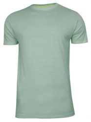 Miętowy Bawełniany T-Shirt Męski Bez Nadruku -Brave Soul- Zielona Koszulka, Krótki Rękaw, Basic. Zielone bluzki z długim rękawem Brave Soul, l, bez wzorów, z bawełny, bez kołnierzyka, bez ramiączek. Za 45.00 zł.