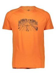 Dare 2b Koszulka w kolorze pomarańczowym rozmiar: L. Pomarańczowe bezrękawniki Dare 2B, l, bez wzorów, bez kołnierzyka, bez ramiączek. Za 42.95 zł.