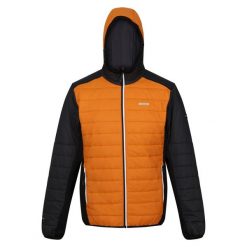 Męska Kurtka Trutton II Baffled Padded Jacket. Zielone kurtki Regatta, m, bez wzorów, z puchu, bez kaptura. Za 174.99 zł.