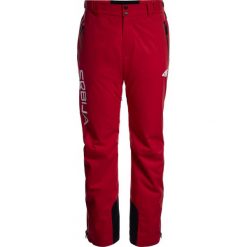 Spodnie narciarskie męskie Serbia Pyeongchang 2018 SPMN700 - czerwony wiśniowy. Spodnie narciarskie i snowboardowe marki 4F. W wyprzedaży za 699.95 zł.