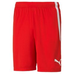 Spodenki piłkarskie męskie PUMA Teamliga. Białe szorty Puma, m, bez wzorów, sportowe. Za 144.50 zł.