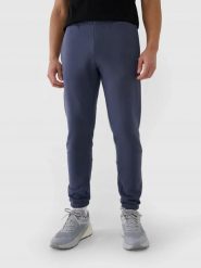 SPODNIE MĘSKIE DRESOWE 4F JOGGERY XXL SZARE. Szare joggery i bojówki 4F, m, bez wzorów, z bawełny. Za 159.99 zł.