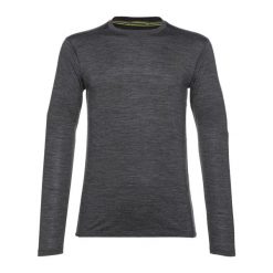 Longsleeve męski Smartwool Classic All-Season Merino Baselayer Boxed. Szare bielizna termoaktywna Smartwool, m, bez wzorów, z wełny, bez ramiączek, trekkingowe. Za 384.31 zł.