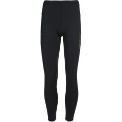 Legginsy zimowe Endurance Energy. Czarne legginsy długie sportowe Endurance, bez wzorów, do biegania. Za 278.00 zł.