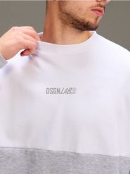 Bawełniana bluza crewneck z napisem - szary. Szare bluzy bez kaptura Sinsay, l, bez wzorów, z bawełny, bez kaptura. Za 35.99 zł.