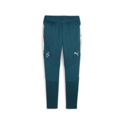 Piłkarskie spodnie treningowe PUMA x NEYMAR JR Creativity PUMA. Brązowe spodnie treningowe długie Puma, m, bez wzorów. Za 229.99 zł.