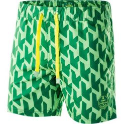 AQUAWAVE Szorty męskie Waveshorts Verdant Green Print/Sulphur Spring r. XXL. Odzież kąpielowa marki AQUAWAVE. Za 55.06 zł.