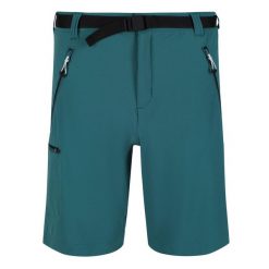 Szorty męskie Xert III rozciągliwe. Niebieskie szorty Regatta, m, bez wzorów, z elastanu, sportowe. Za 229.99 zł.