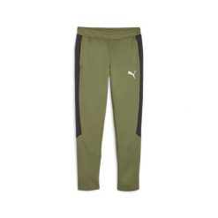 Spodnie Puma Evostripe Dk. Zielone szorty Puma, m, bez wzorów, z dresówki. Za 199.99 zł.