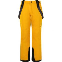 Pantalony narciarskie Whistler Gippslang Pro. Żółte spodnie narciarskie i snowboardowe WHISTLER, m, bez wzorów, narciarskie. Za 415.00 zł.