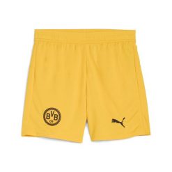 Młodzieżowe szorty Borussia Dortmund 25/26 PUMA. Brązowa szorty Puma, m, bez wzorów, młodzieżowe. Za 179.00 zł.
