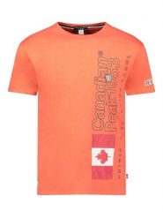 Canadian Peak Koszulka w kolorze pomarańczowym rozmiar: S. Pomarańczowe bezrękawniki Canadian Peak, s, bez wzorów, z bawełny, bez kołnierzyka, bez ramiączek. Za 56.79 zł.