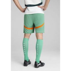 Męskie szorty Wybrzeże Kości Słoniowej 2025 PUMA Jade Frost White Green. Białe szorty Puma, m, bez wzorów, sportowe. Za 199.00 zł.