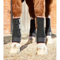 Szybkoschnące getry dla koni Premier Equine. Czarne legginsy długie sportowe PREMIER EQUINE, l, bez wzorów, z wełny, do jazdy konnej. Za 195.00 zł.