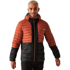 Męska Kurtka Leedre Hybrid Padded Jacket. Czarne kurtki Regatta, m, bez wzorów, z elastanu, z kapturem. Za 140.99 zł.