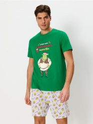 Piżama dwuczęściowa Shrek - zielony. Zielone piżamy Sinsay, l, bez wzorów, z gumy, bez ramiączek. Za 49.99 zł.