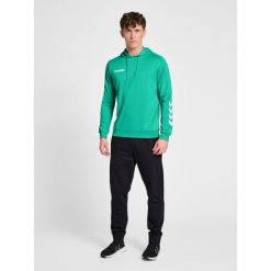 Bluza do piłki ręcznej męska Hummel hml PROMO Poly z kapturem. Zielone bluzy z kapturem Hummel, m, bez wzorów, z kapturem. W wyprzedaży za 143.00 zł.