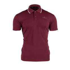 Koszulka męska polo Nert 1. Brązowe koszulki polo sportowe Bergson, l, bez wzorów, bez kołnierzyka, bez ramiączek, na golfa. Za 69.00 zł.