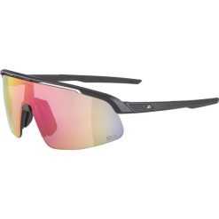 Okulary przeciwsłoneczne Alpina Turbo Pro S Q-Lite. Czarne okulary przeciwsłoneczne Alpina. Za 339.99 zł.