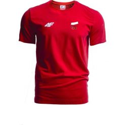 Koszulka męska Polska Pyeongchang 2018 TSM900R - czerwony wiśniowy. T-shirty marki ASICS. W wyprzedaży za 79.99 zł.