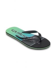 Klapki dla Mężczyzn MOLOKAI STRIPE Szary. Szare klapki Quiksilver, z gumy. Za 94.99 zł.