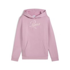 Młodzieżowa bluza z kapturem Essentials Script PUMA. Czerwona bluzy z kapturem Puma, m, bez wzorów, z kapturem. Za 199.00 zł.