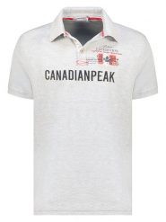 Canadian Peak Koszulka polo "Kasoneak" w kolorze szarym rozmiar: L. Szare koszulki polo Canadian Peak, l, bez wzorów, z bawełny, bez kołnierzyka, bez ramiączek. Za 86.99 zł.