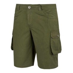 Męskie Spodenki Hekla. Zielone szorty Alpinus, m, bez wzorów, sportowe. Za 228.99 zł.