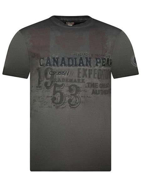 Canadian Peak Koszulka "Jeleganteak" w kolorze czarnym rozmiar: S. Czarne bezrękawniki Canadian Peak, s, bez wzorów, z bawełny, bez kołnierzyka, bez ramiączek. Za 66.31 zł.