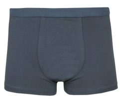 Bokserki Obcisłe, Szare Gładkie, Jednokolorowe, Bawełniane, Majtki z Elastanem -ALTIES. Szare bokserki Alties, m, bez wzorów, z bawełny. Za 35.00 zł.