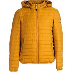 Żółta Kurtka Maggiore. Żółte kurtki Born2be, na jesień, l, bez wzorów, z materiału, bez kaptura. Za 149.99 zł.