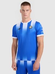 4F Koszulka klubowa wyjazdowa z sezonu 2025/26 męska 4F x Stal Mielec - niebieska M. Niebieskie t-shirty 4F, m, bez wzorów, z dzianiny, bez kołnierzyka, bez ramiączek. Za 249.99 zł.