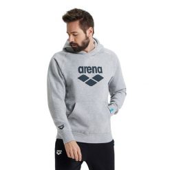 Bluza Arena Hooded Sweat Logo z kapturem. Szare bluzy z kapturem Arena, m, bez wzorów, z bawełny, z kapturem. Za 319.99 zł.