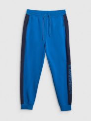 4F Spodnie dresowe joggery męskie - niebieskie M. Niebieskie joggery i bojówki 4F, m, bez wzorów, z dresówki. Za 159.99 zł.