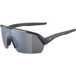 Okulary przeciwsłoneczne Alpina Turbo HR. Czarne okulary przeciwsłoneczne Alpina. Za 299.40 zł.