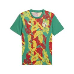 Męska koszulka przedmeczowa Senegal 2025 PUMA Sport Green Faster Yellow Red. Czerwone t-shirty sportowe Puma, bez wzorów, bez ramiączek, do piłki nożnej. W wyprzedaży za 220.00 zł.