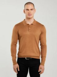 Sweter męski z kołnierzykiem polo brązowy Bradson 802. Brązowe swetry nierozpinane BIG STAR, l, bez wzorów, z wiskozy, bez kołnierzyka, bez ramiączek. W wyprzedaży za 129.99 zł.