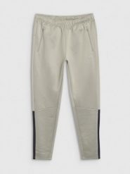4F Spodnie treningowe szybkoschnące męskie - khaki S. Brązowe spodnie treningowe długie 4F, m, bez wzorów, z dresówki. Za 179.99 zł.