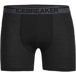 Icebreaker Mens Anatomica Boxers Black/Monsoon Xl. Bielizna termoaktywna Icebreaker. W wyprzedaży za 133.00 zł.