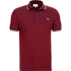 Lacoste PH9433 Koszulka polo bordeaux/navy blue. Koszulki polo marki LACOSTE. Za 419.00 zł.