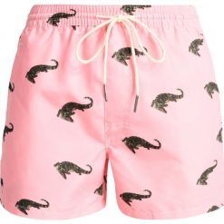 Oas CORAL CROCODILE Szorty kąpielowe pink. Kąpielówki marki Oas. Za 299.00 zł.