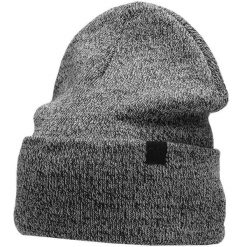 Czapka męska 4F średni. Szare czapki zimowe 4F, bez wzorów. Za 41.99 zł.
