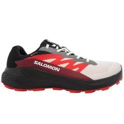 Buty do biegania męskie Salomon Alphaglide Gtx. Buty do biegania Salomon, bez wzorów, z materiału, bez zapięcia, do biegania. Za 533.00 zł.